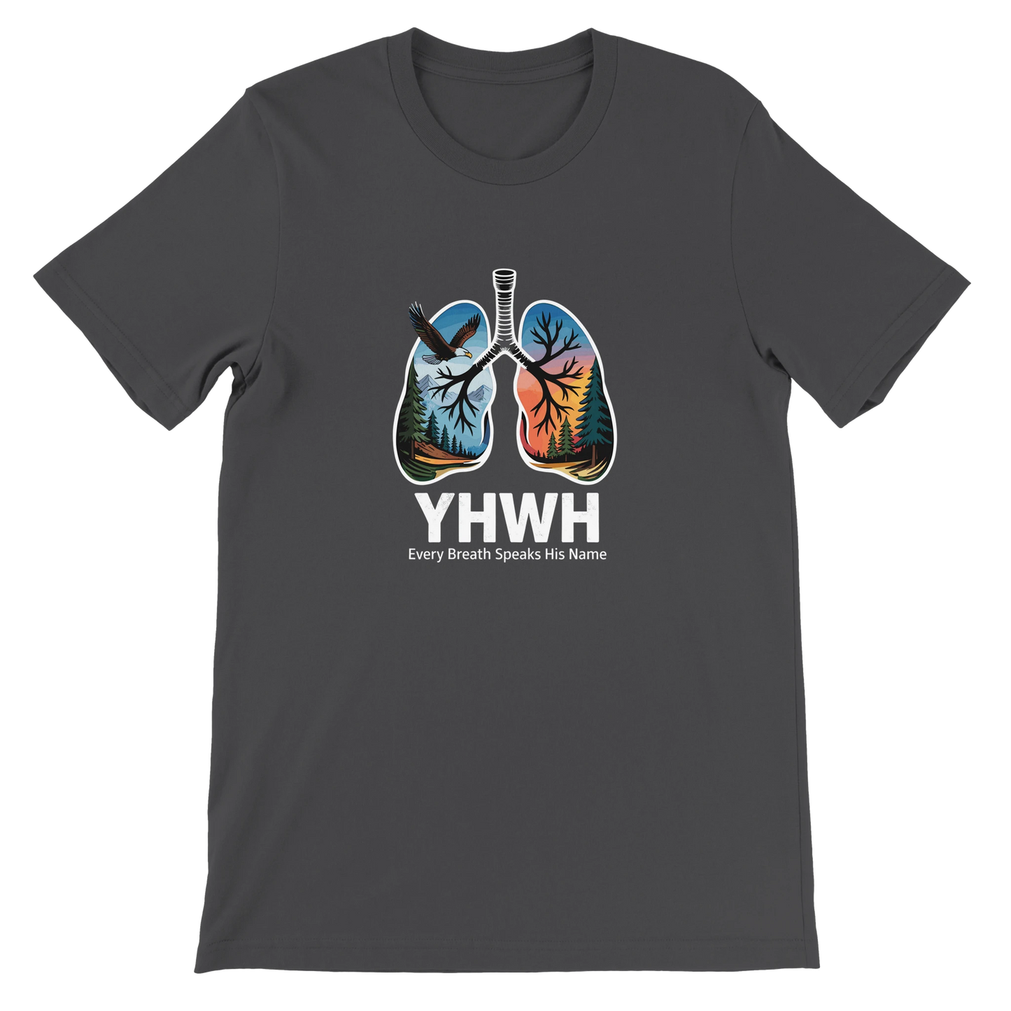 38c58b07-e90f-4154-be2c-68e3b2fc3394