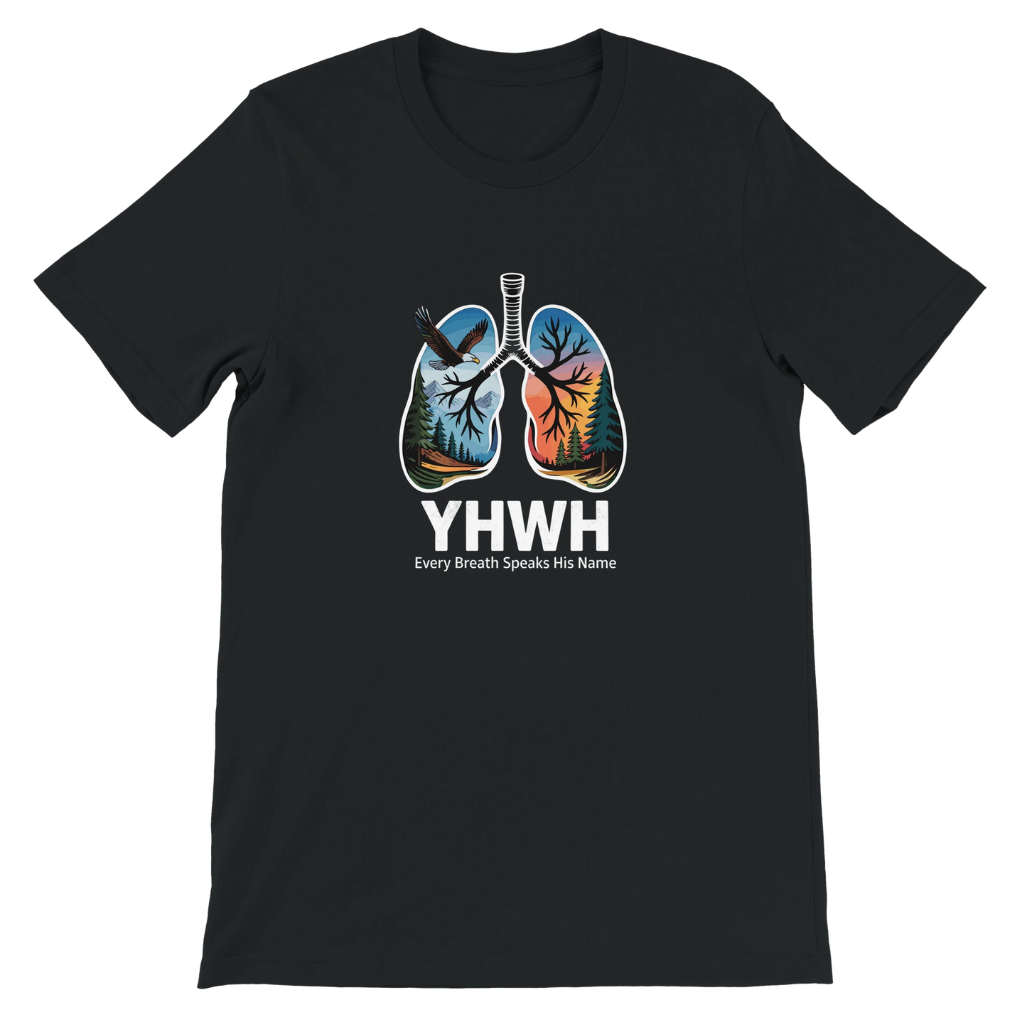 c31a315d-0b96-4b97-9ffd-239ca8c40bdb