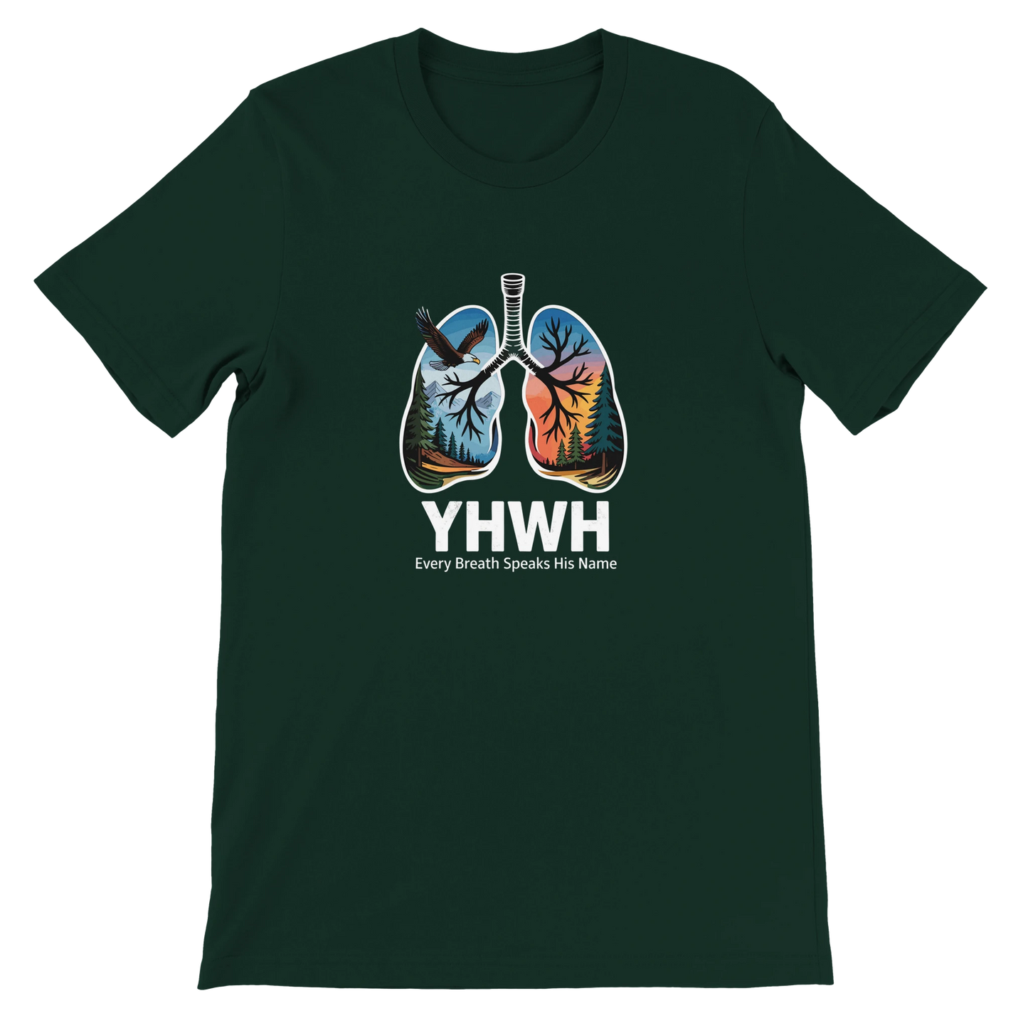 dab5f176-114b-490b-ae8e-0bb0ad1c9777